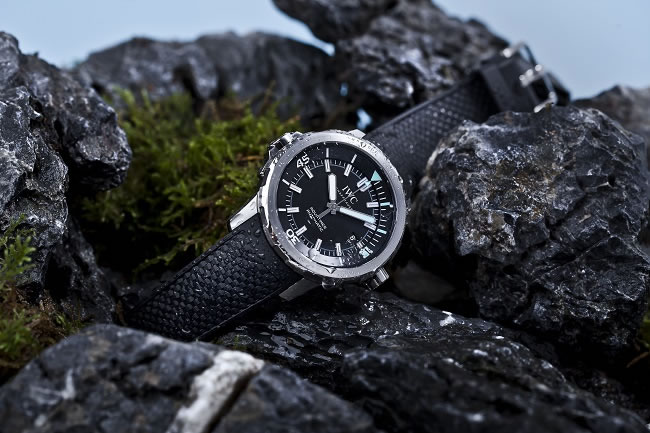 3 Watches to Dive For
