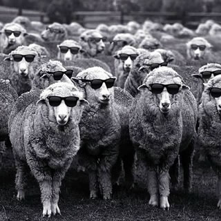 The Woolmark Company Launches Sheep Art Campaign