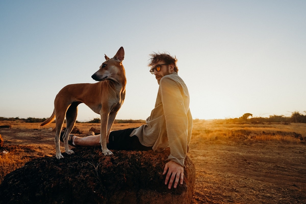 Useful Hacks On How To Travel With Your Beloved Dog